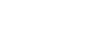 Adelik logo
